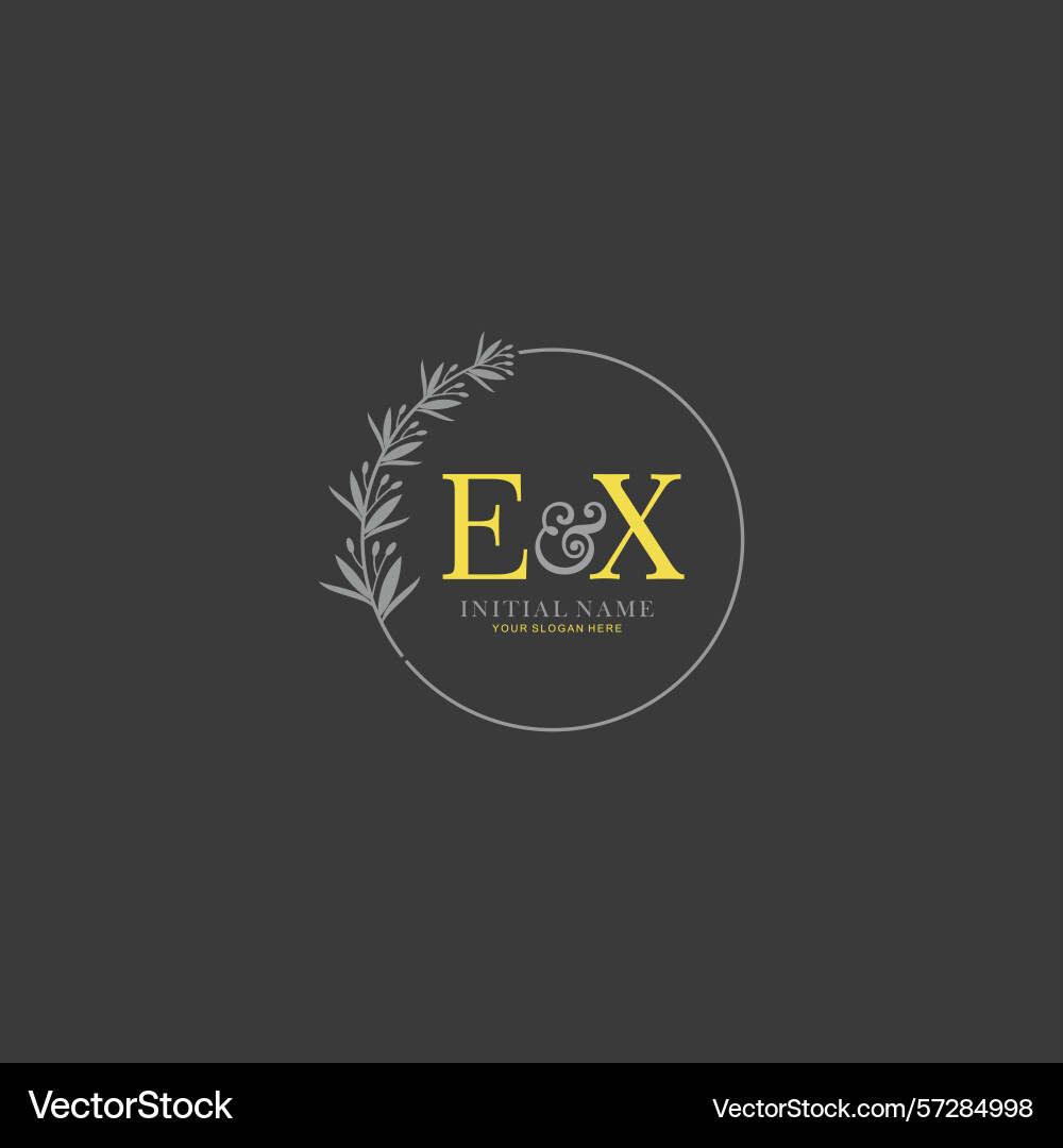 Ex initial logo templates with botanical elements Ex initial logo templates with botanical elements vector image