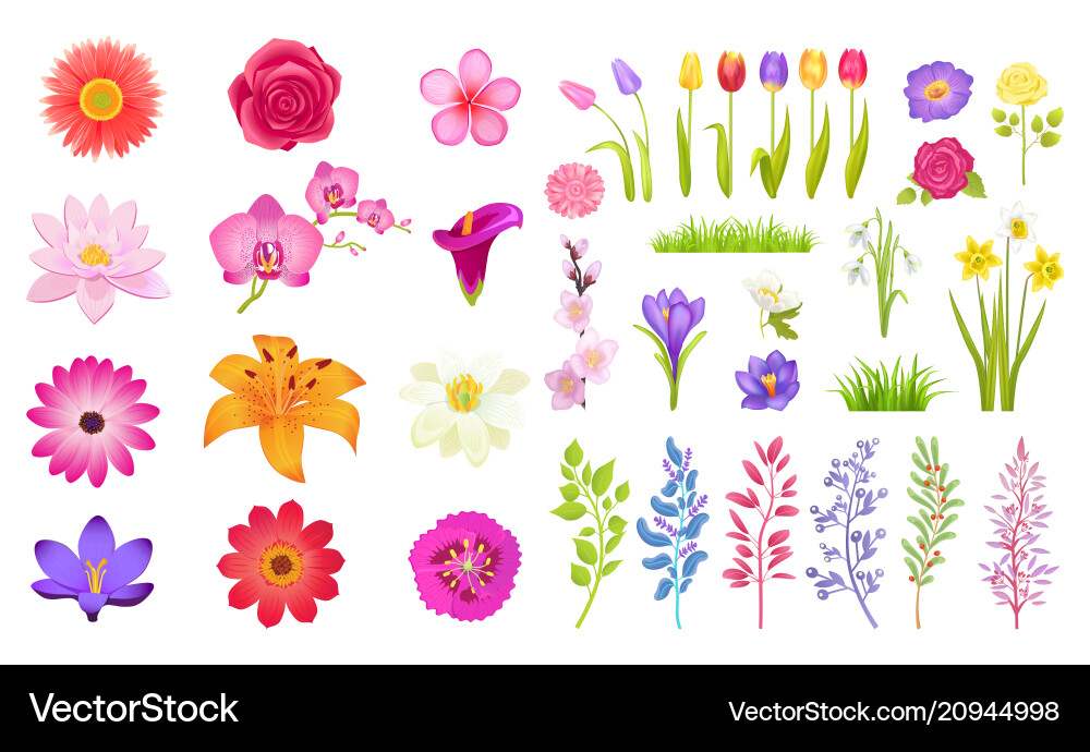 Vibrant Flower Collection Vector Image