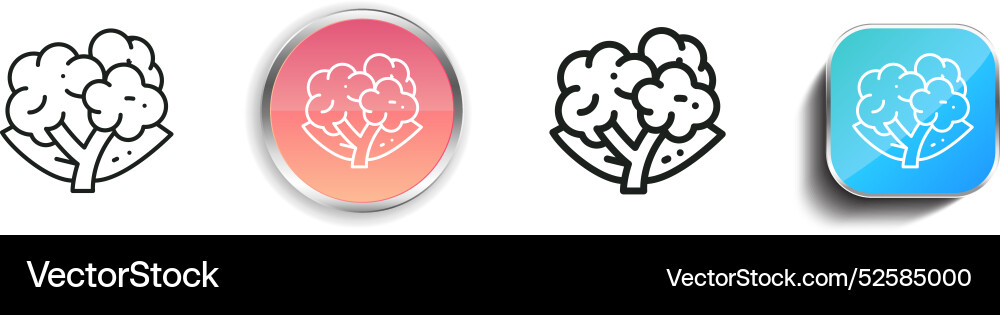 Cauliflower icon thin linear regular and button vector image