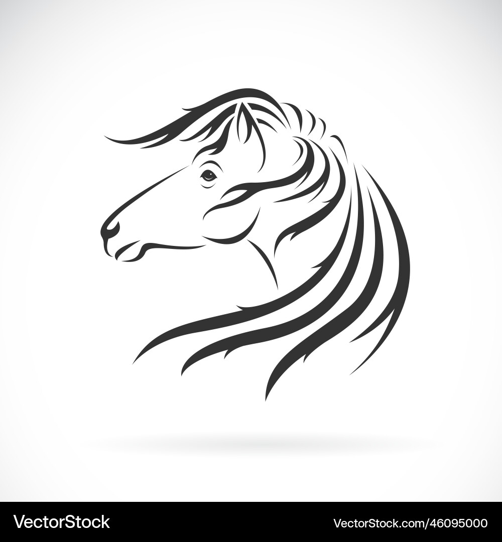 Horse head design on white background easy Horse head design on white background easy Vector Image
