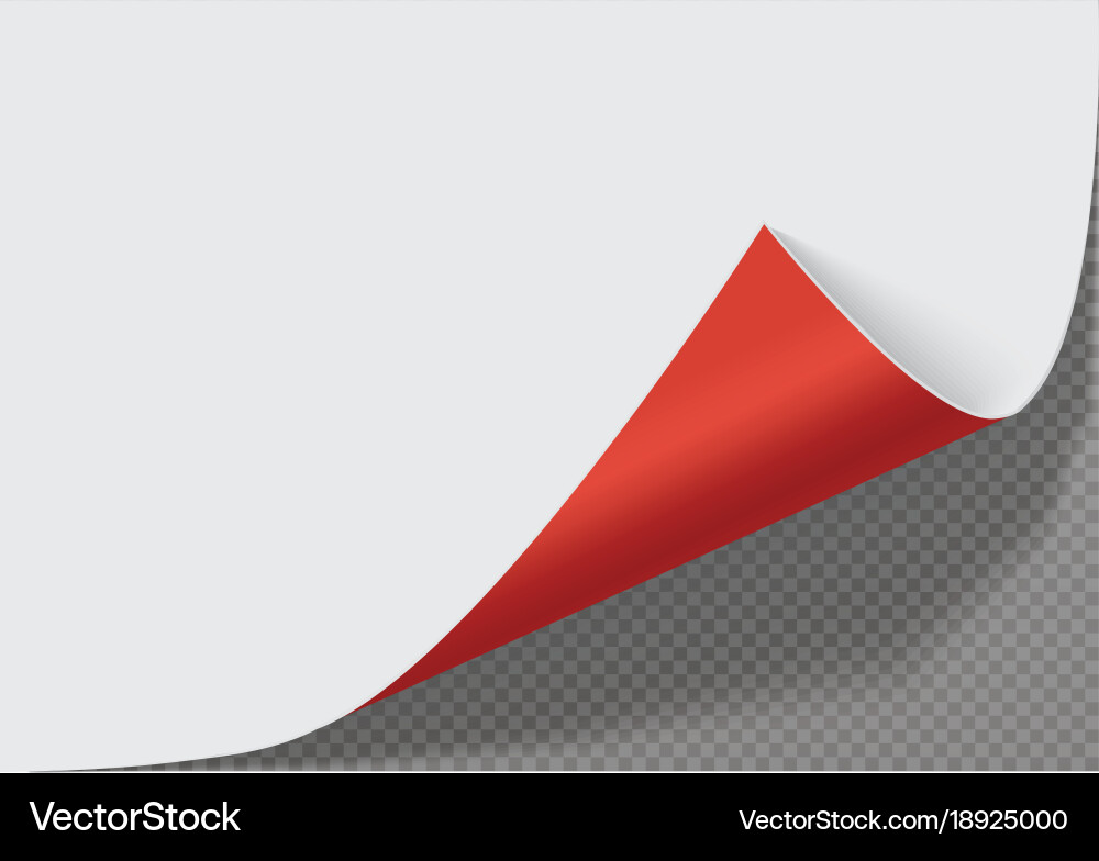 Page curl with shadow on a blank sheet of paper vector image