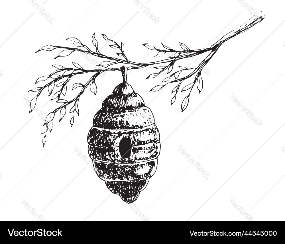 Sketch of bee hive with branch tree Sketch of bee hive with branch tree Vector Image