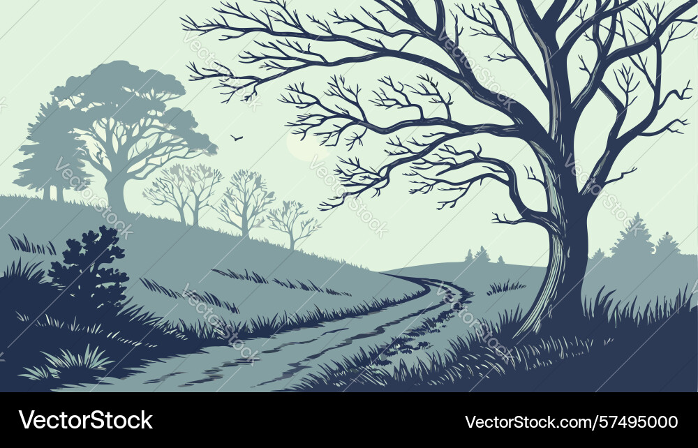 Winding path through a serene forest with bare vector image