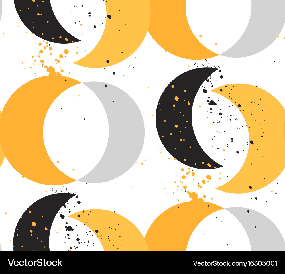 Celestial Moon Pattern vector image