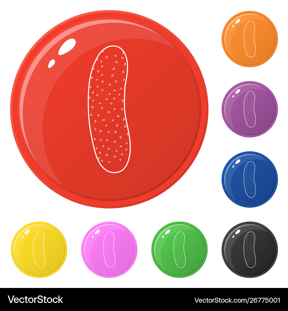Line style cucumber icons set 8 colors isolated Line style cucumber icons set 8 colors isolated Vector Image