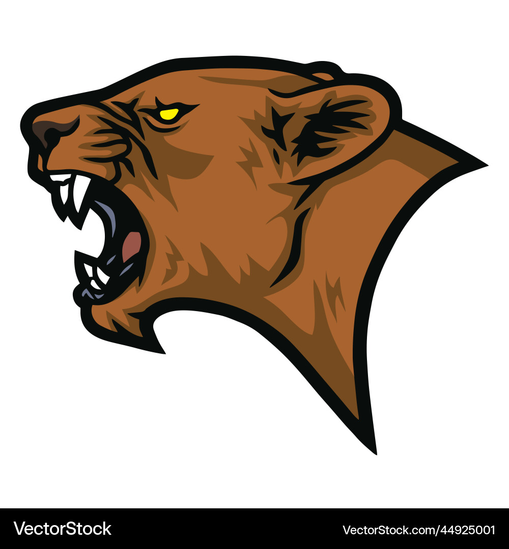 Photo Of Lioness Roaring Lion Head Infoupdate photo-of-lioness-roaring-lion-head-infoupdate