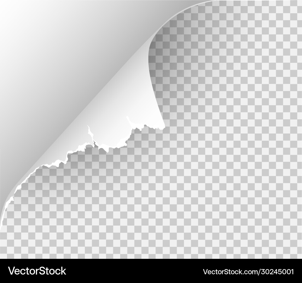 Page curl with shadow on blank sheet paper Page curl with shadow on blank sheet paper vector image