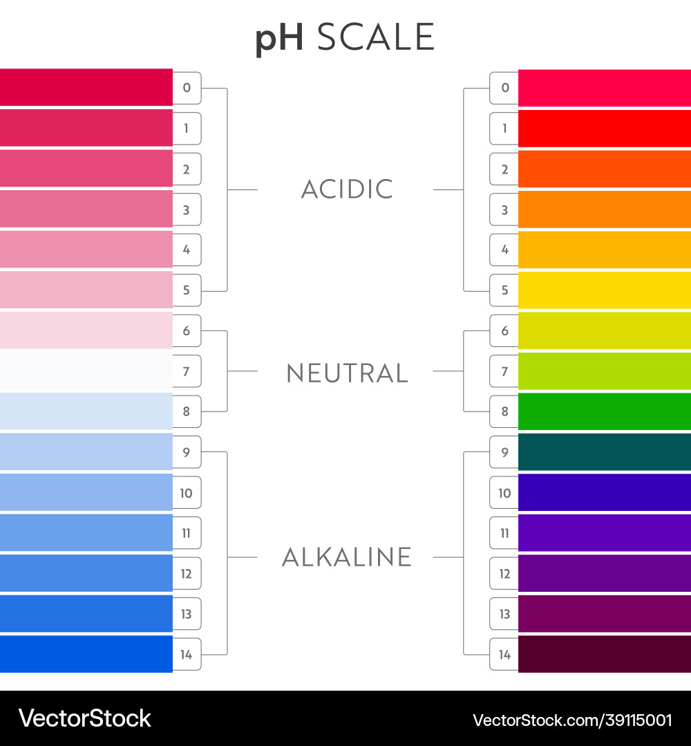 Ph value scale chart Ph value scale chart vector image