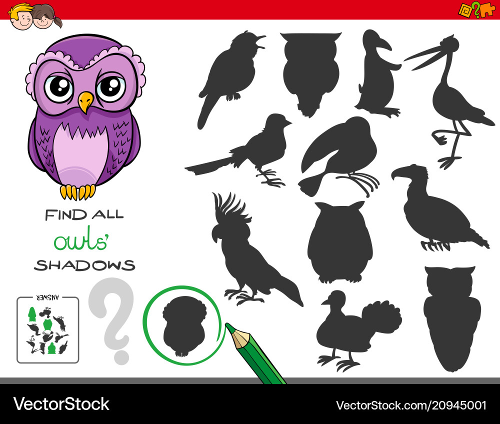 Shadows game with owl characters vector image