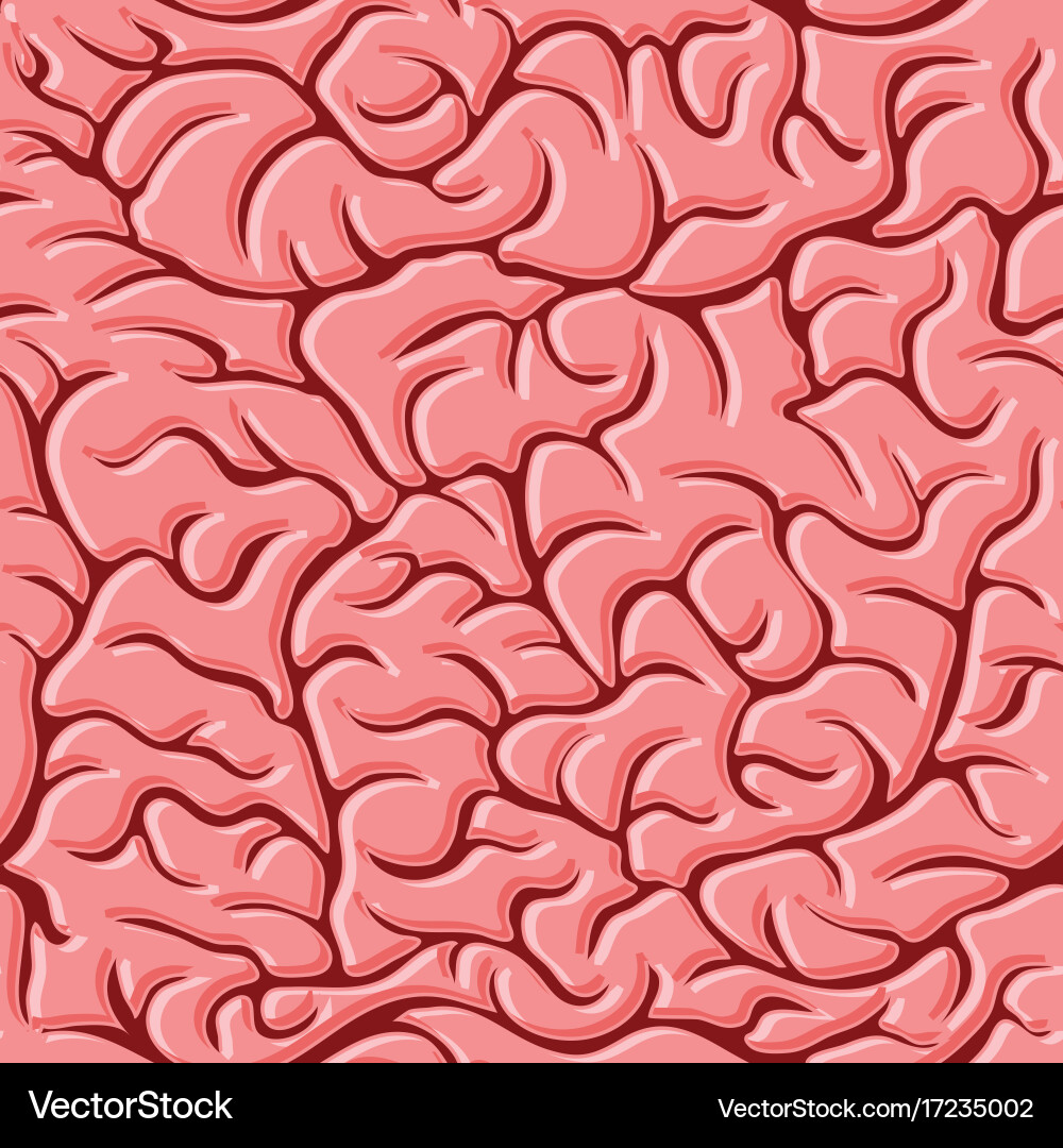 Brain Pattern - Anatomical Texture vector image