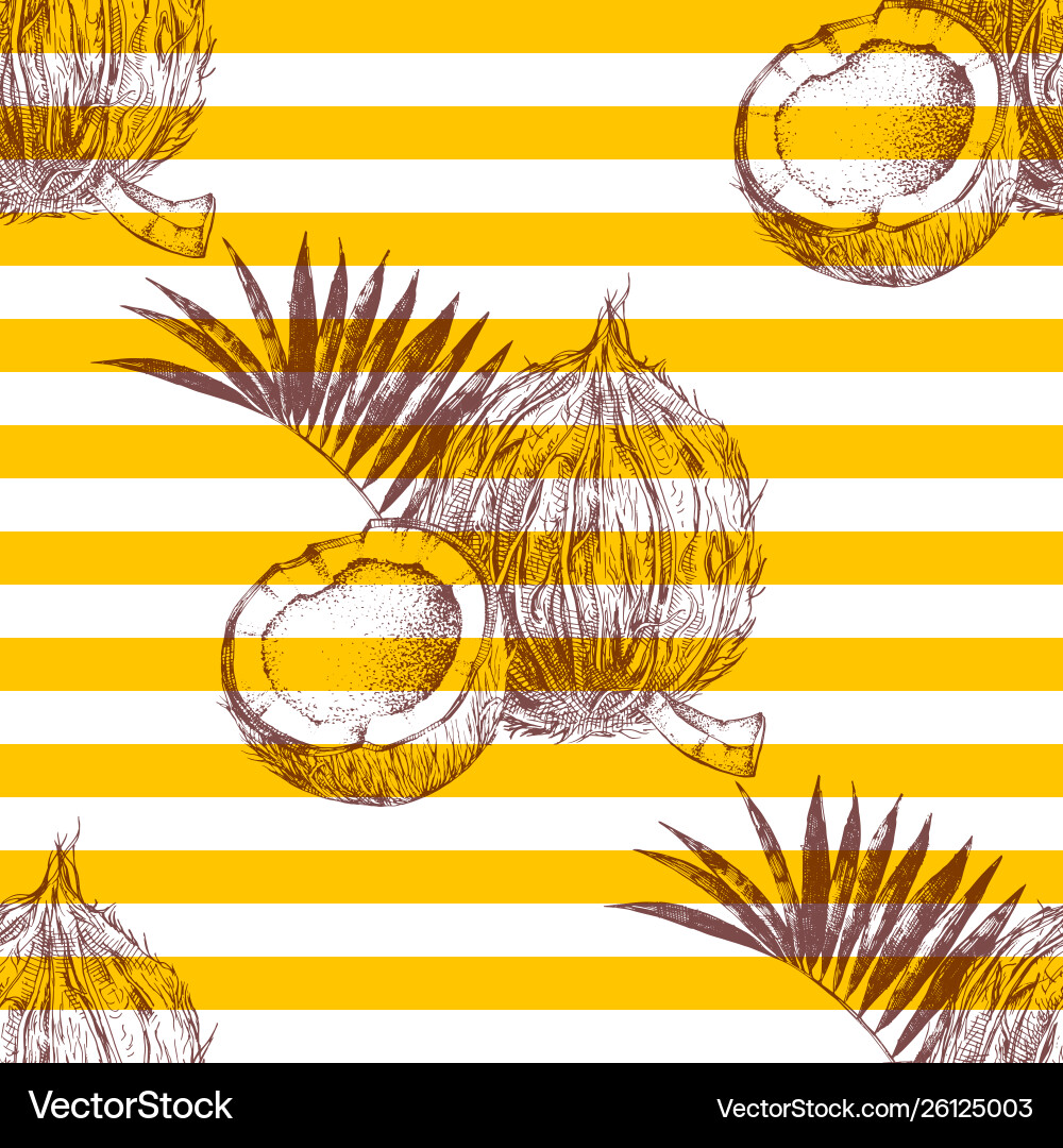 Seamless pattern with hand drawn coconuts vector image