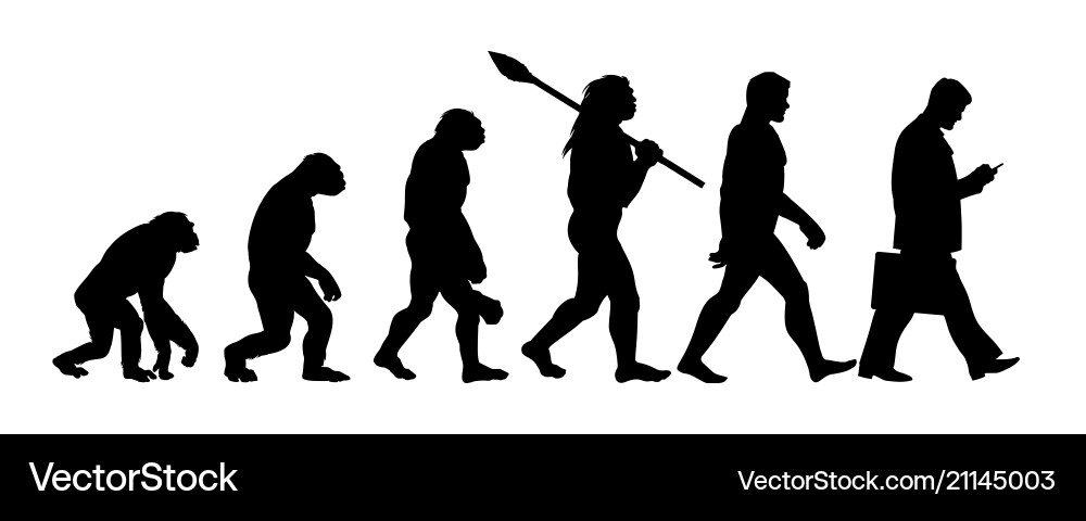 Theory of evolution man silhouette vector image