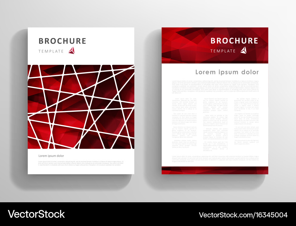 Abstract Triangular Brochure Template vector image
