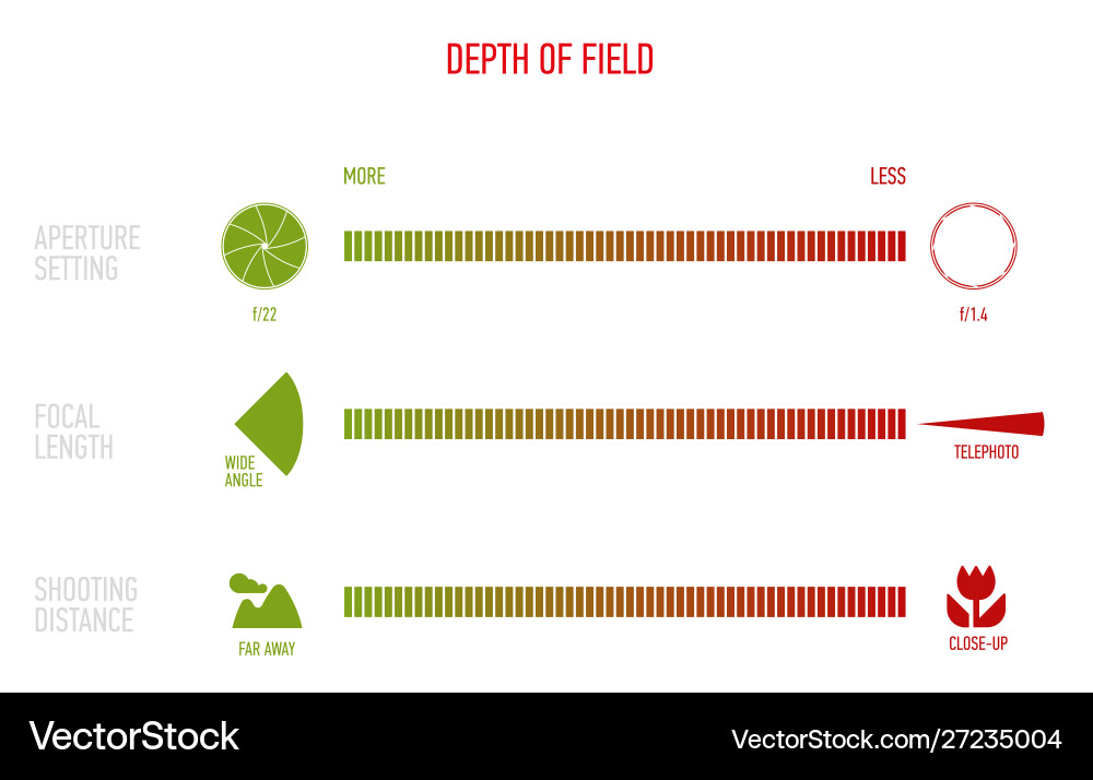 Depth of Field Chart vector image