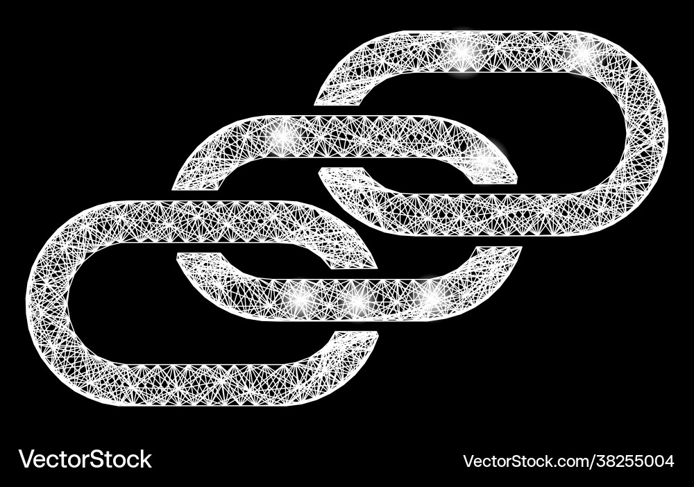 Net chain links web mesh with bright glitter dots Vector Image