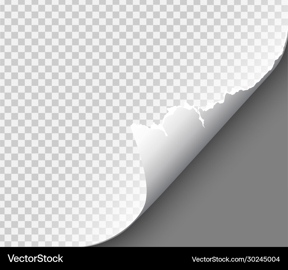 Page curl with shadow on blank sheet paper Page curl with shadow on blank sheet paper vector image
