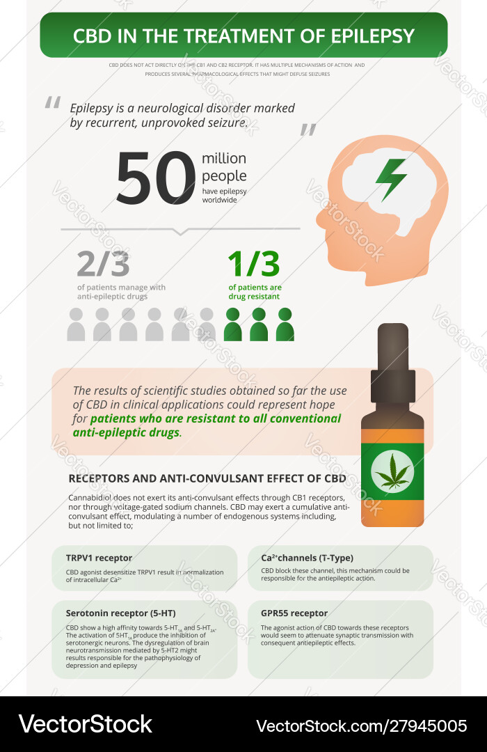 Cannabis for Epilepsy Treatment Royalty Free Vector Image