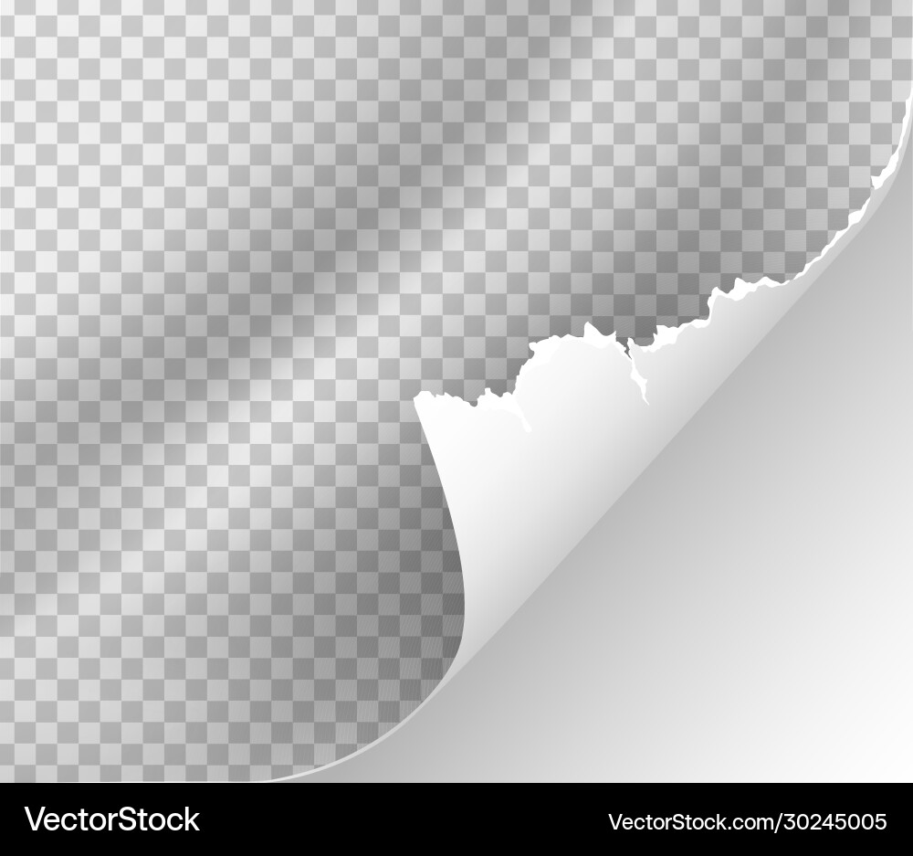 Page curl with shadow on blank sheet paper vector image