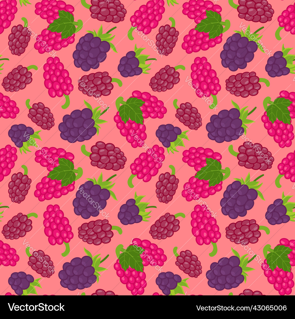 Seamless raspberry pattern with summer berries Seamless raspberry pattern with summer berries vector image