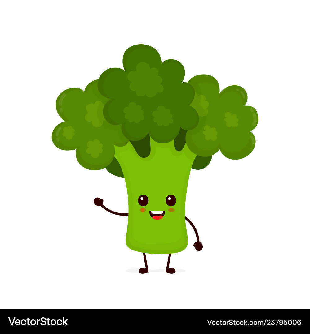 Smiling Broccoli Character vector image
