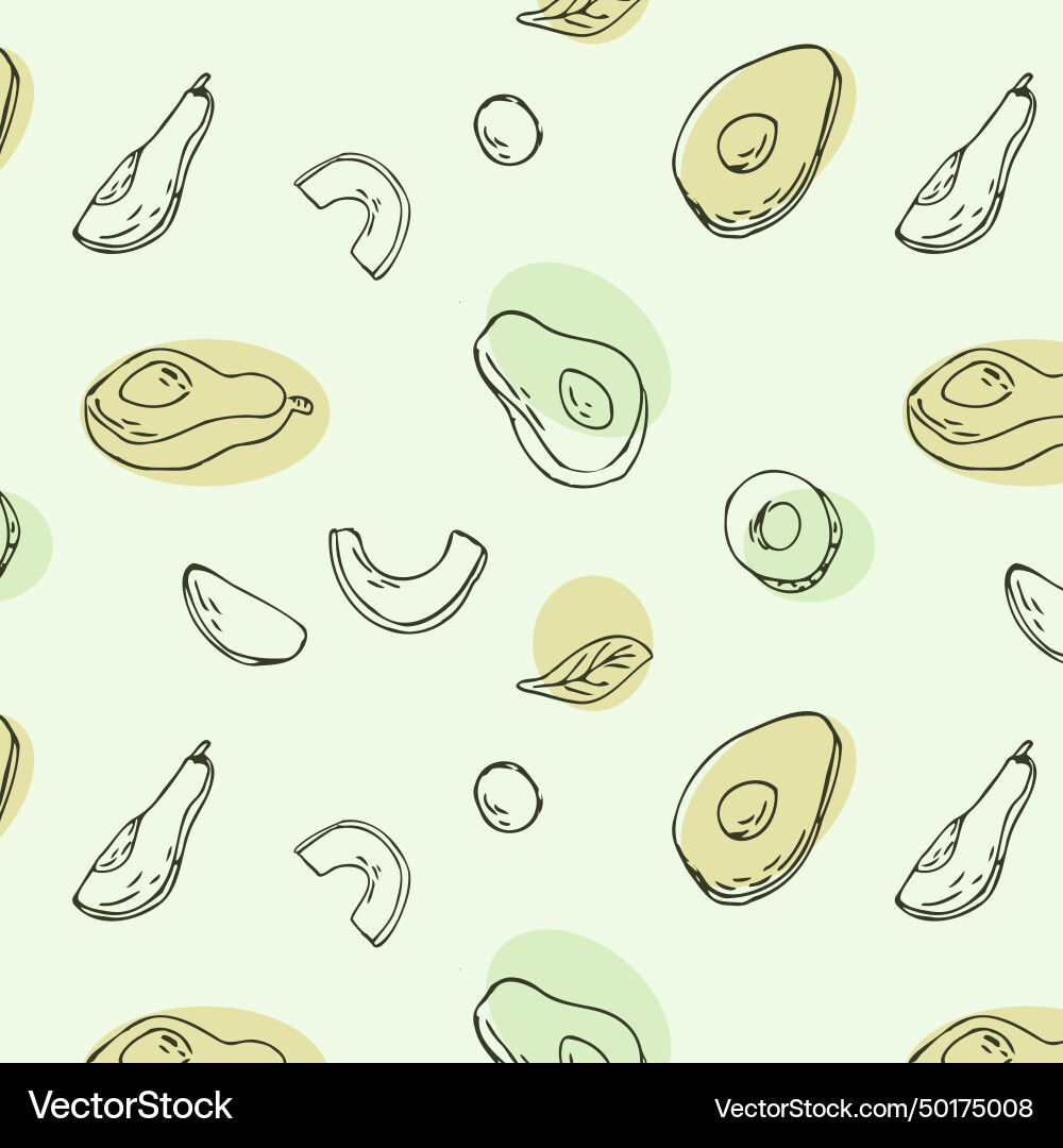 Outline avocado fruit background with simple Vector Image