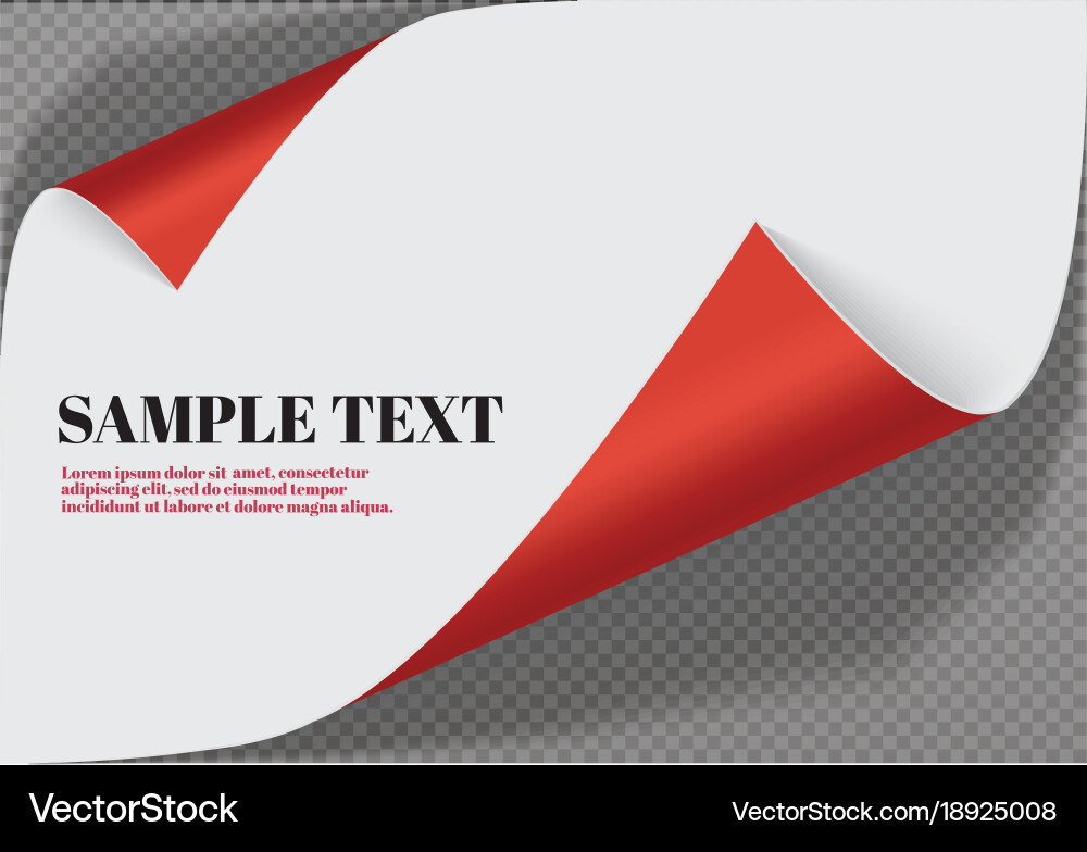 Page curl with shadow on a blank sheet of paper vector image