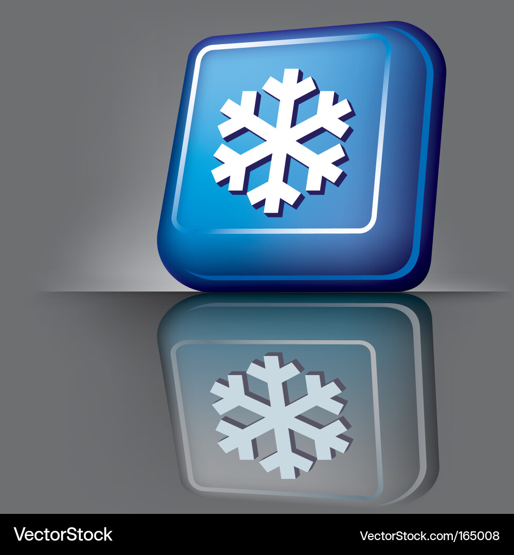 Snowflake button vector image
