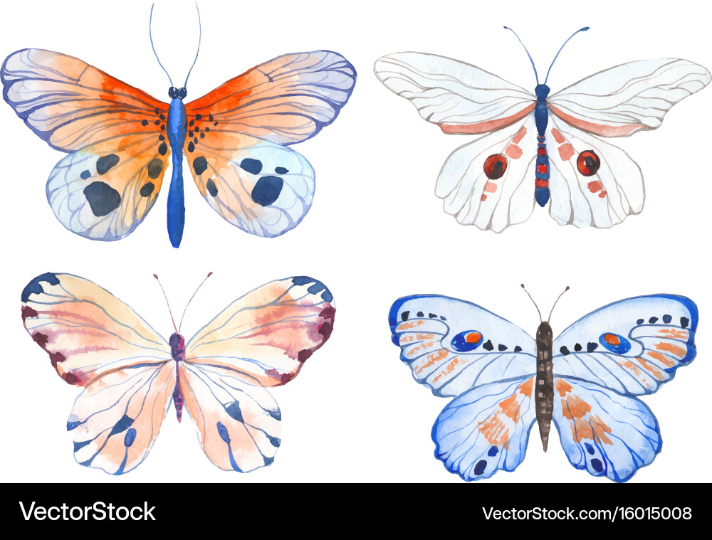 Watercolor Butterfly Collection Vector Image