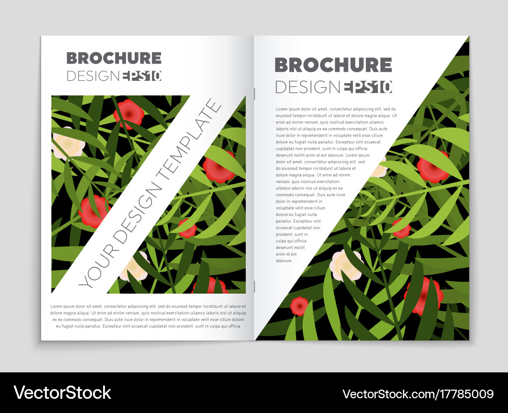 Abstract layout background set for art Vector Image