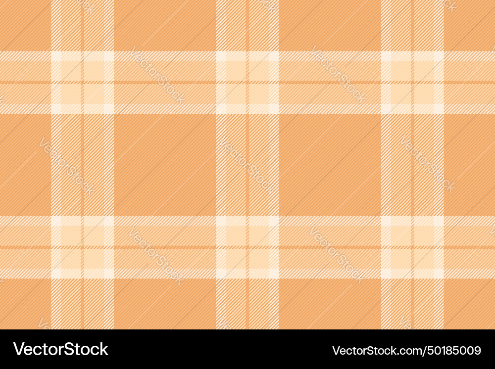Checker texture fabric linear background check Checker texture fabric linear background check Vector Image