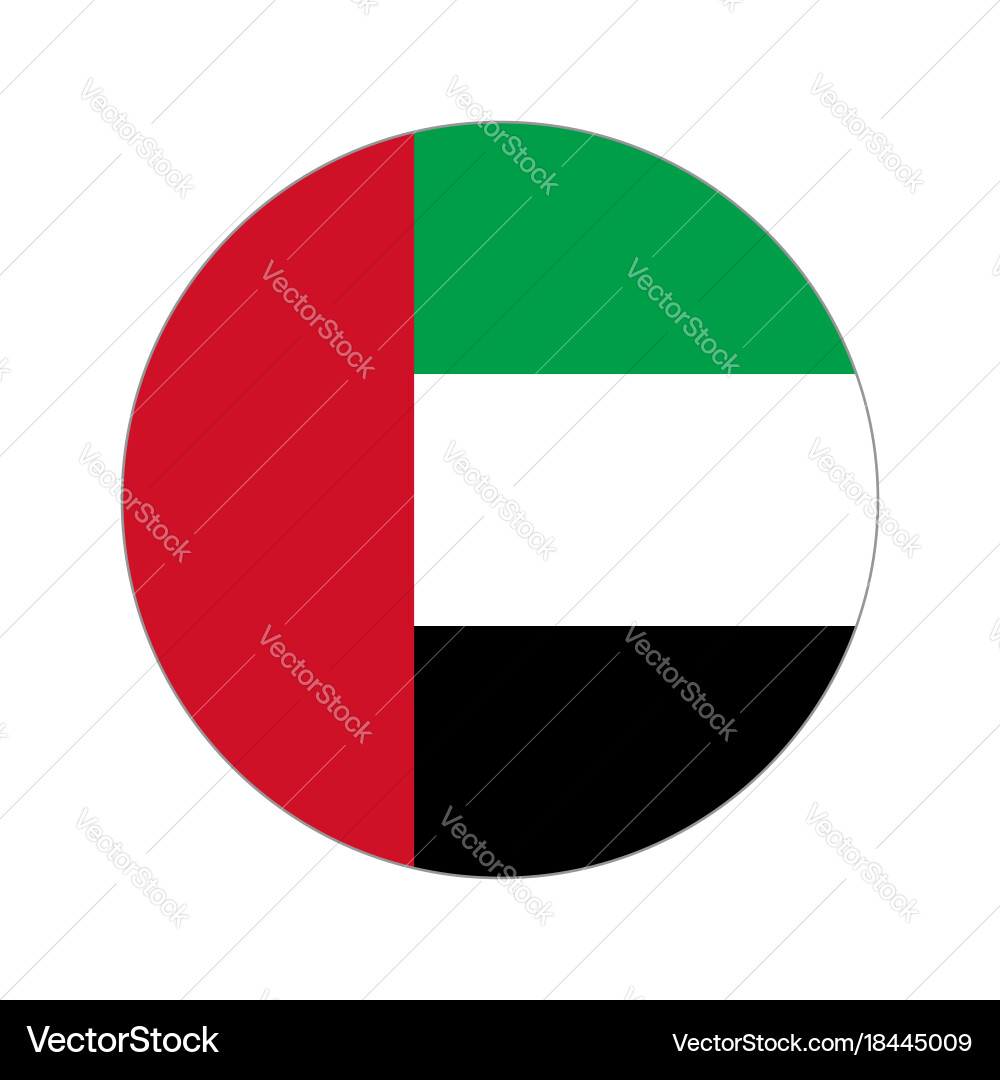 Circular Flag Symbol Vector Image