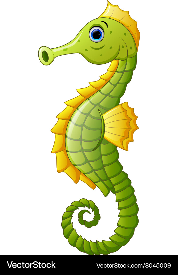 Cute sea horse cartoon Royalty Free Vector Image