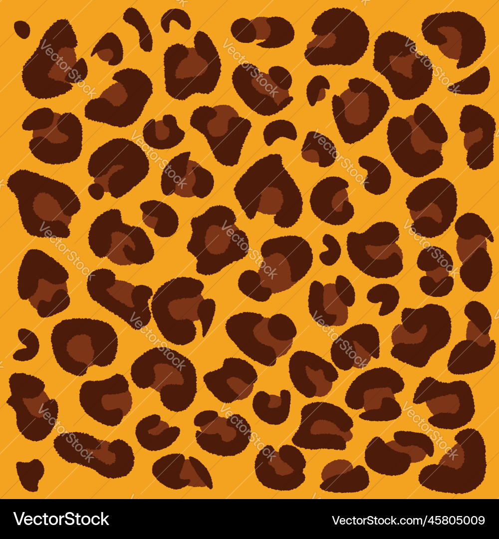 Set of leopard elements for decorated and design Vector Image