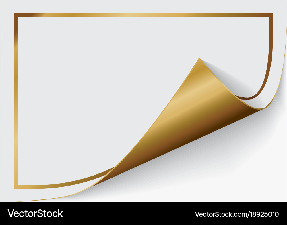 Page curl with shadow on a blank sheet of paper Vector Image
