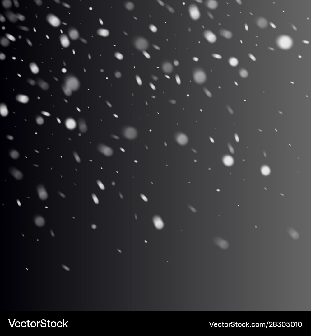 Realistic snowflake against a dark vector image