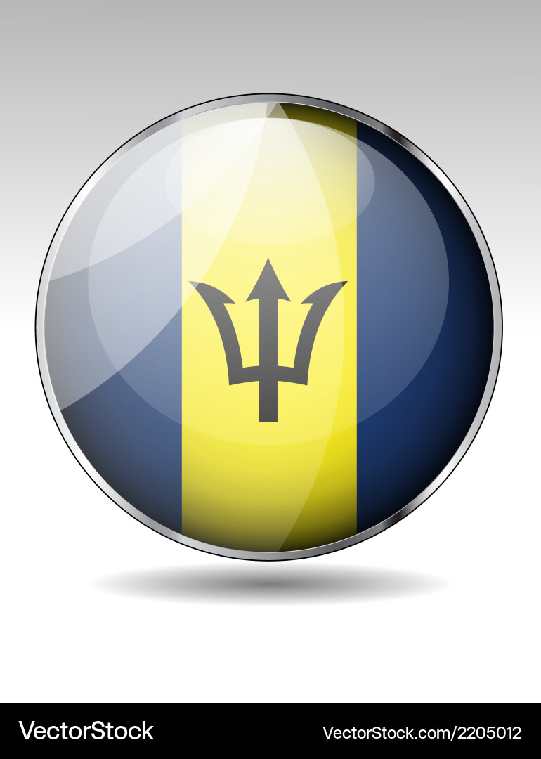 Flag button design elements vector image