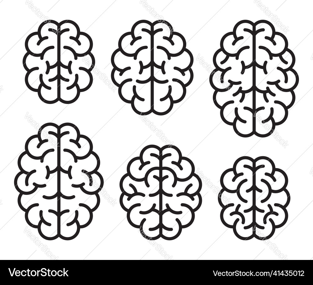 Human brain icons Royalty Free Vector Image - VectorStock