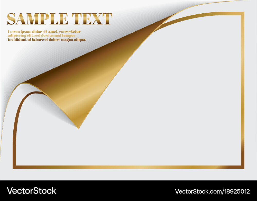 Page curl with shadow on a blank sheet of paper Vector Image