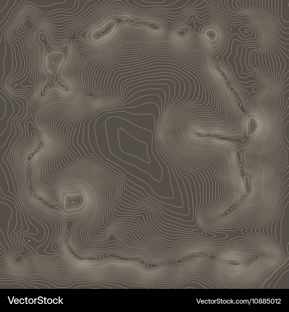 Topographic map background concept with space vector image