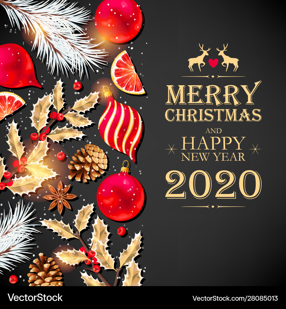 Christmas Pine Branch Holiday Card Vector Image