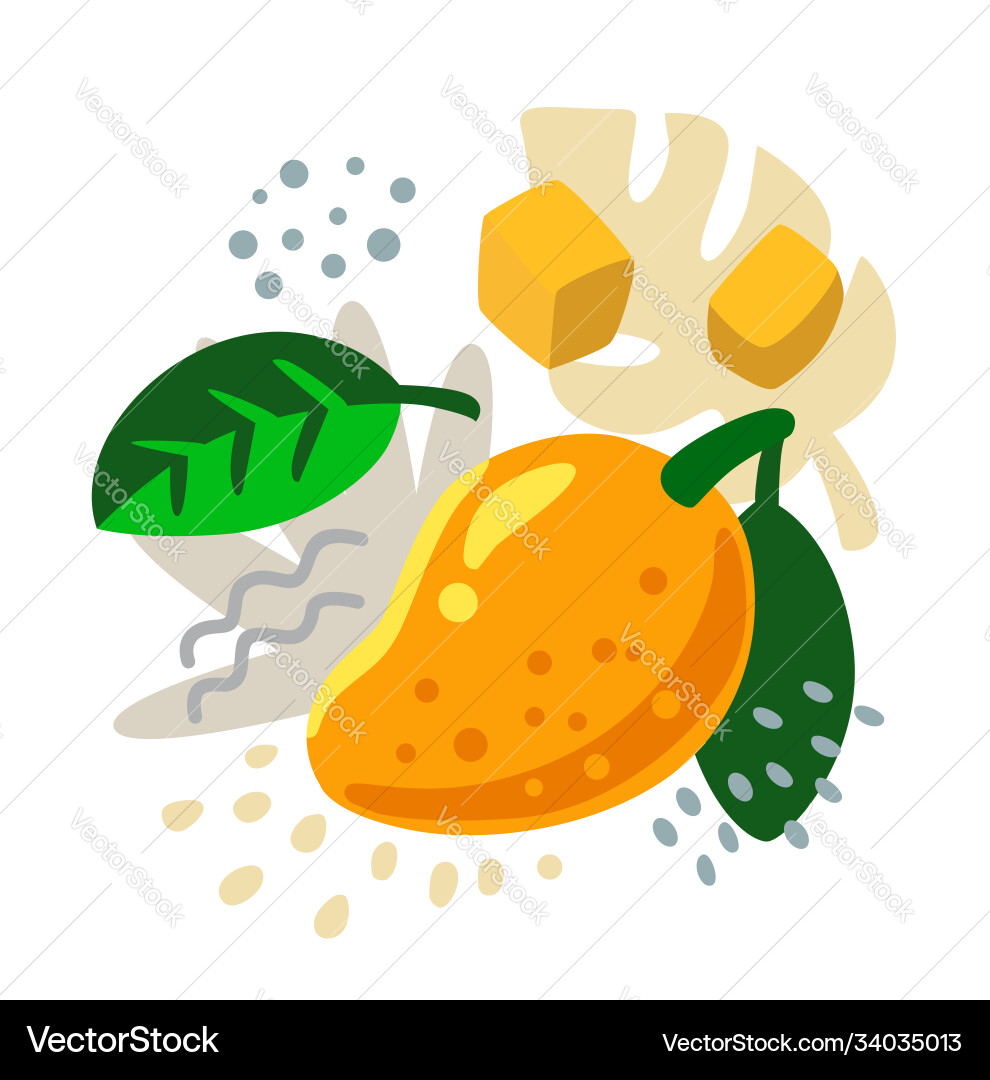 Fresh mango on color abstract background vector image