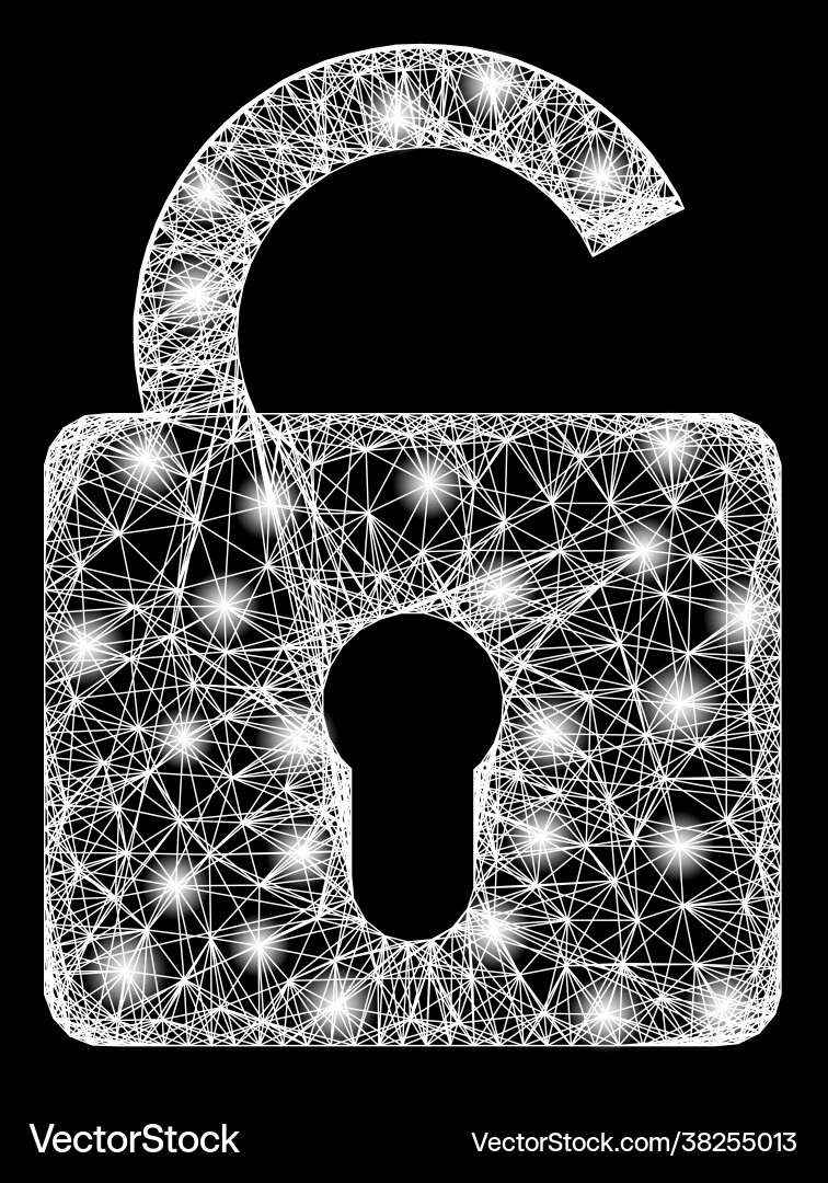 Net unlock web mesh with bright lightspots Net unlock web mesh with bright lightspots vector image