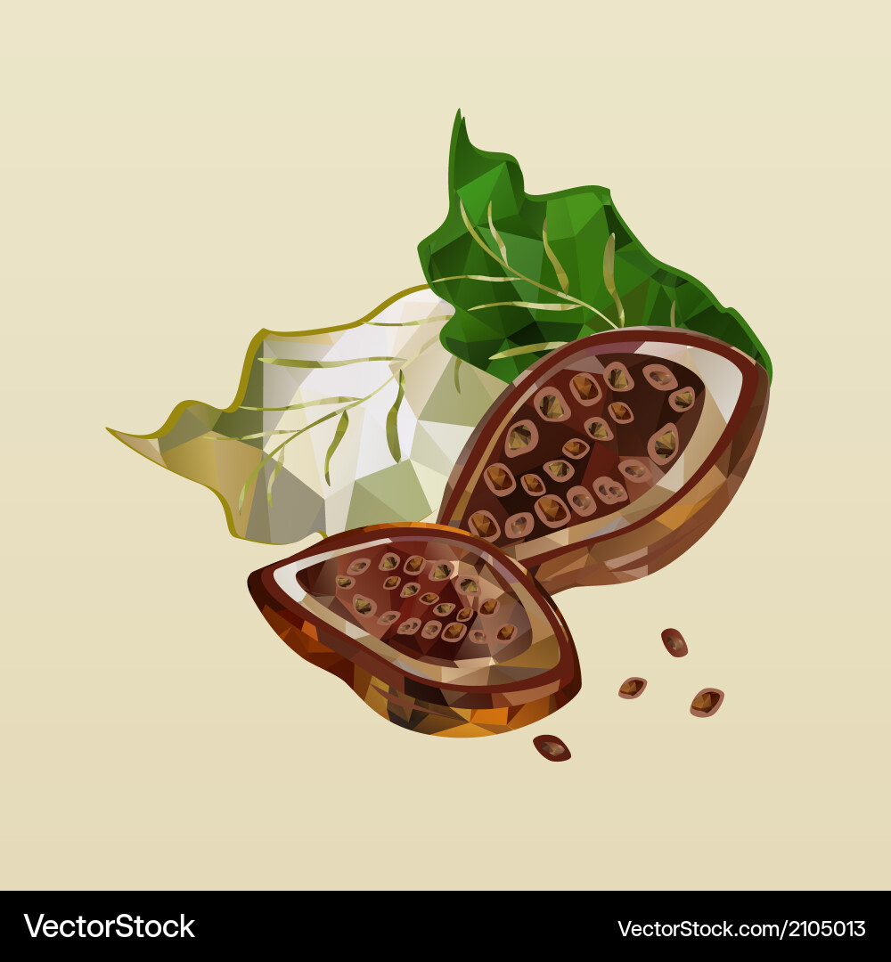 Polygonal cocoa beans Vector Image