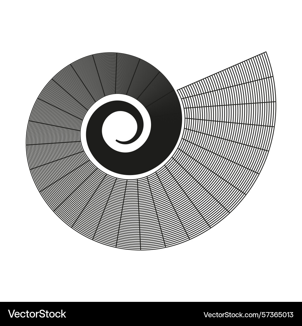 Seashell spiral shape conch shell outline Vector Image