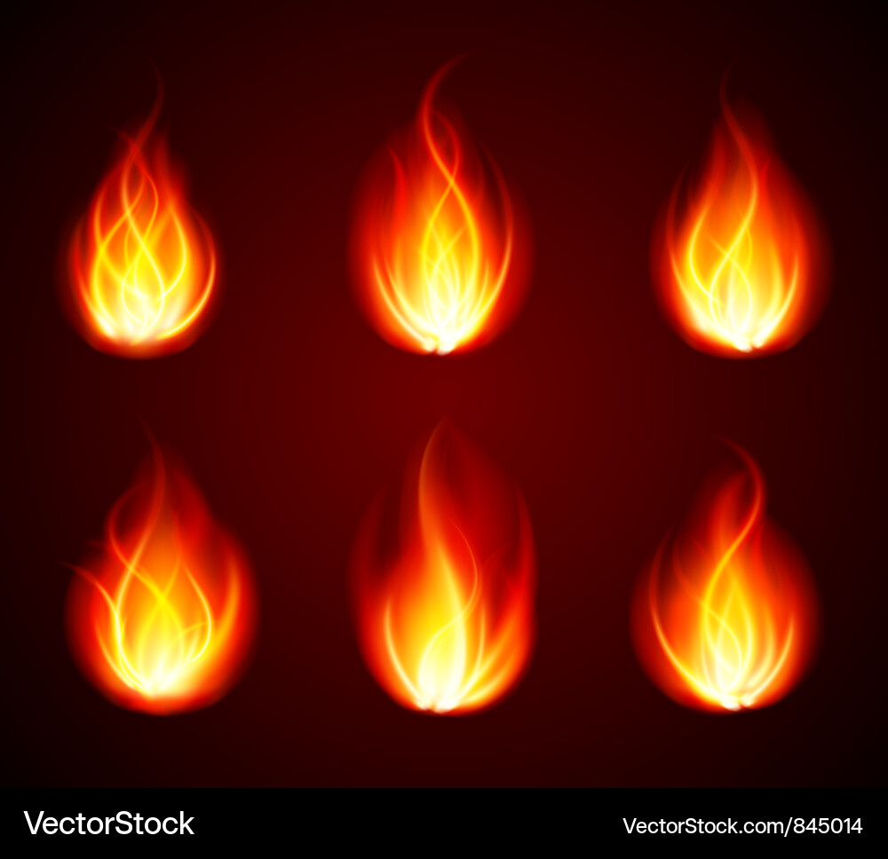 Dynamic Flame Patterns vector image