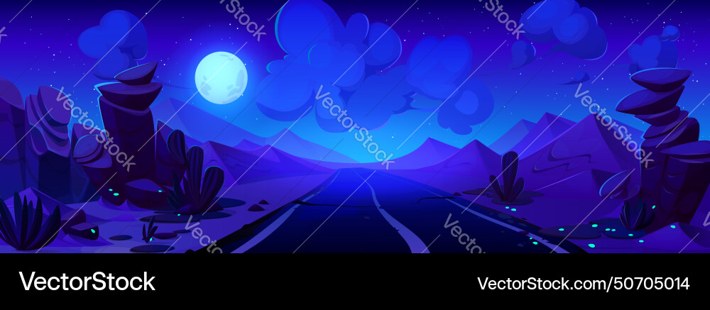 Night summer desert road vector image