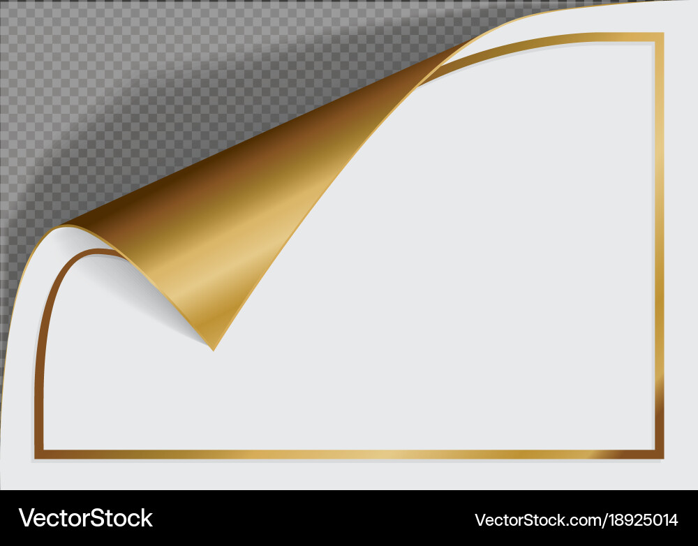 Page curl with shadow on a blank sheet of paper Vector Image