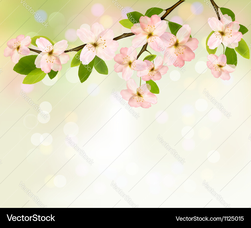 Spring background with blossoming tree brunch Vector Image