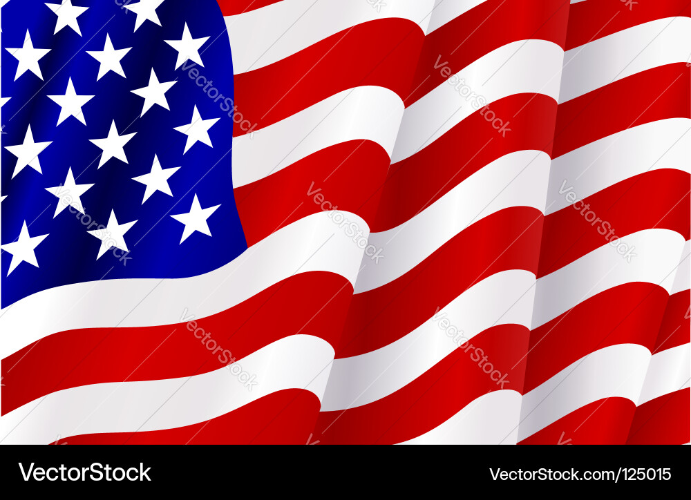 United States Flag vector image