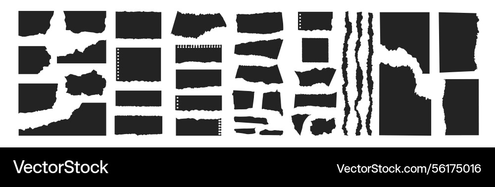 Ripped paper strips collection scraps Vector Image